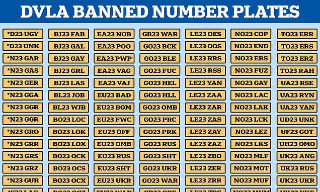 The new '23' number plates the DVLA has banned